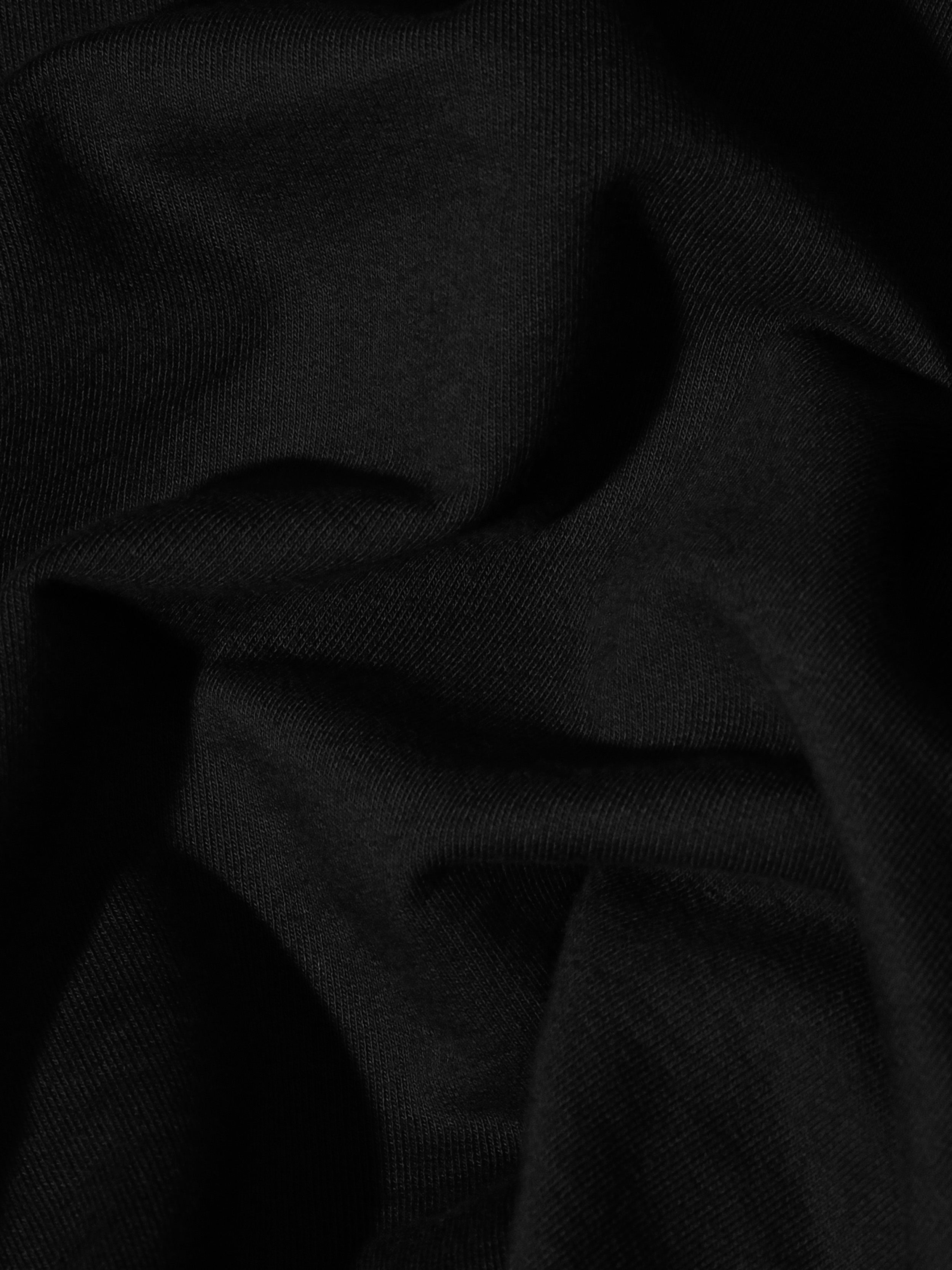 Organic Cotton Heavyweight T-Shirt #color_black
