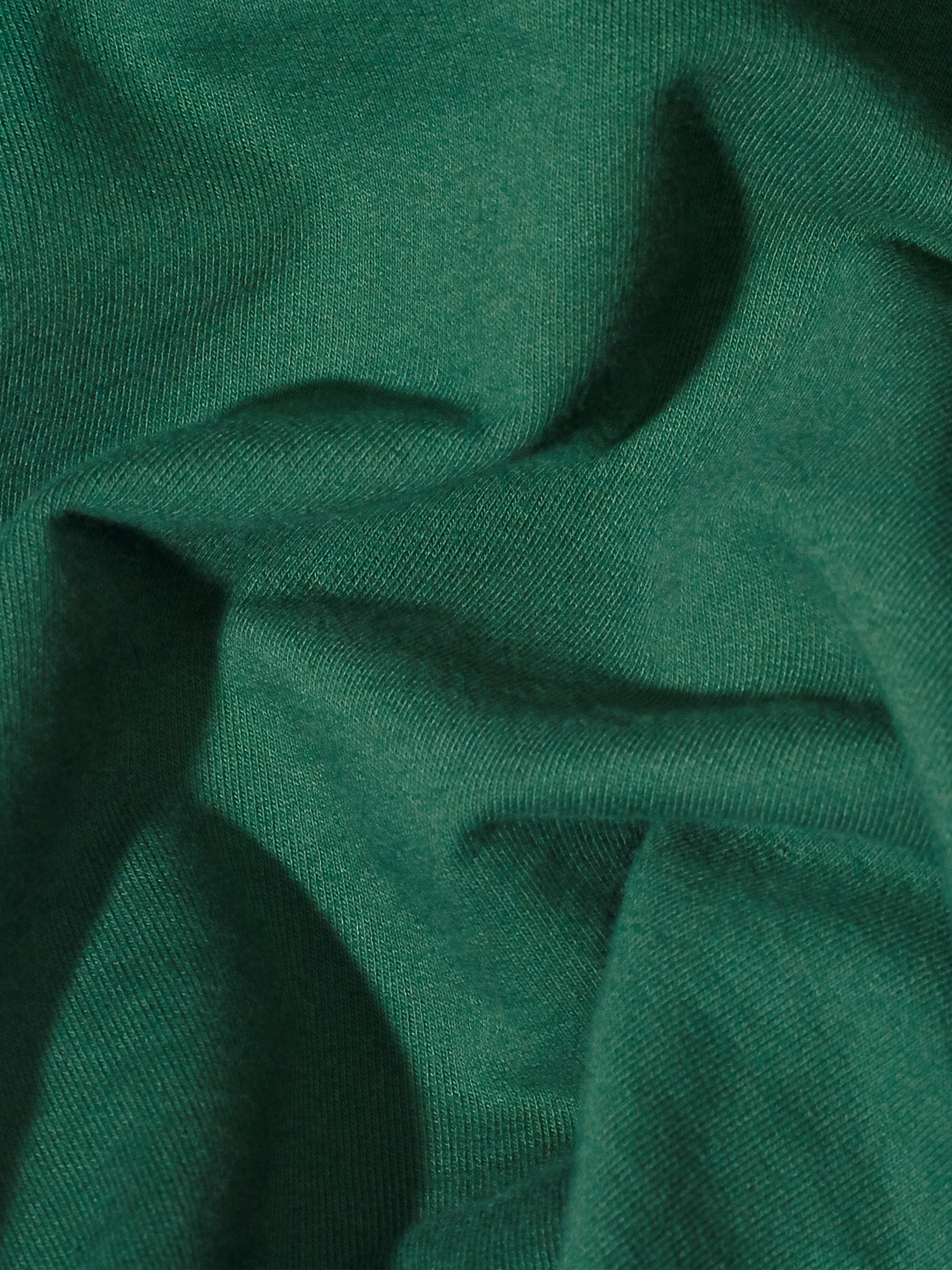 Organic Cotton Heavyweight T-Shirt #color_forest green