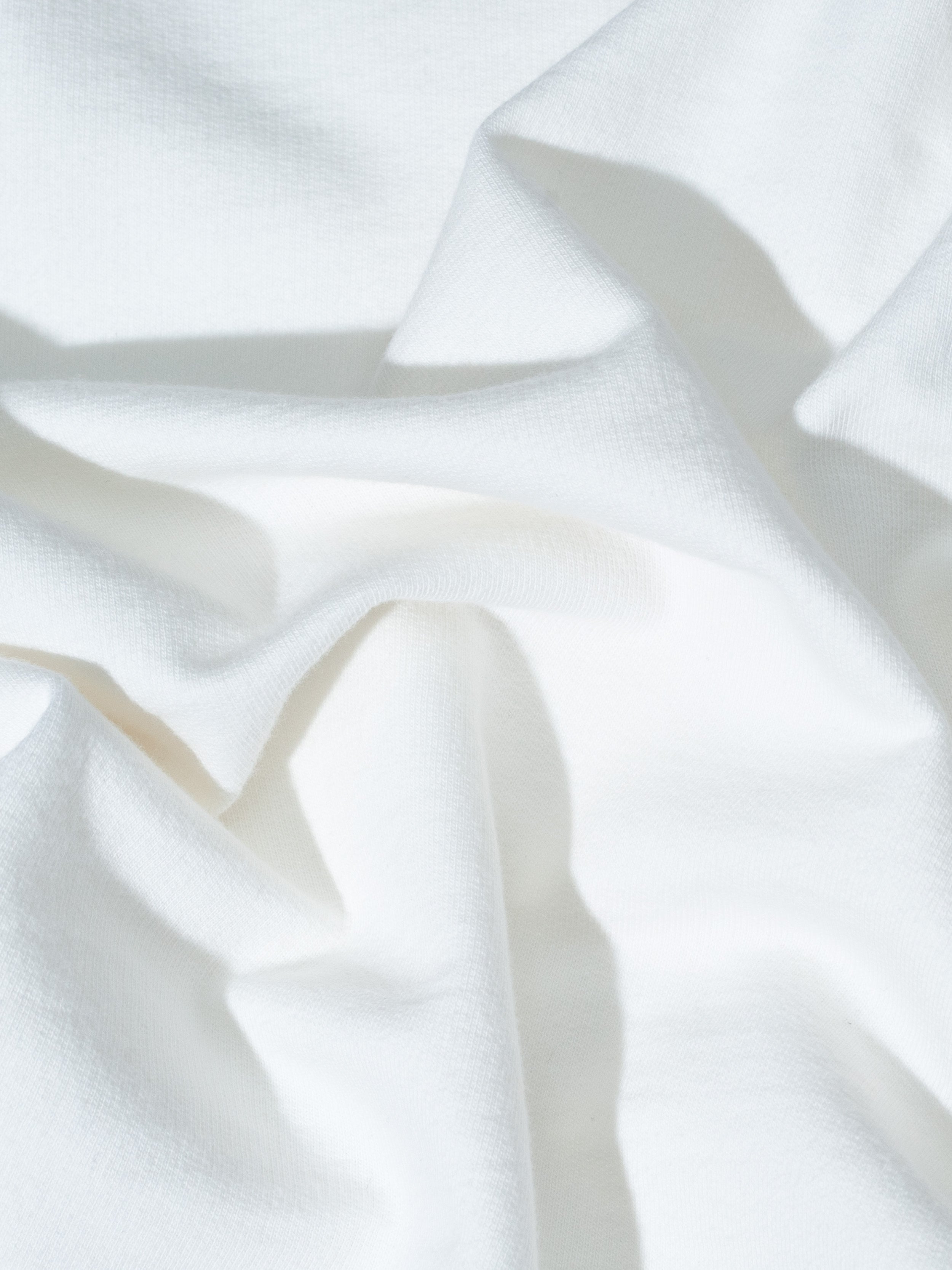 Organic Cotton Heavyweight T-Shirt #color_white